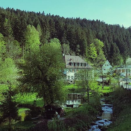 Gut Lauterbad Hotel ฟรอยเดนชตัดท์ ภายนอก รูปภาพ