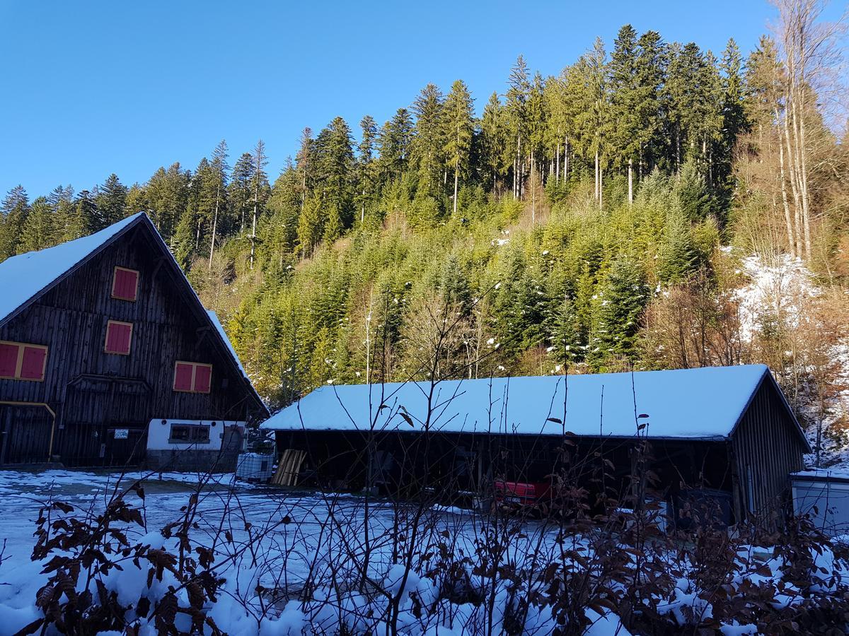 Gut Lauterbad Hotel ฟรอยเดนชตัดท์ ภายนอก รูปภาพ