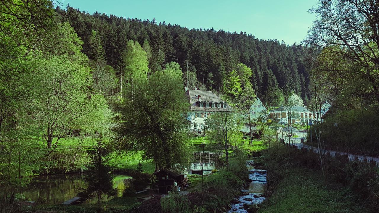 Gut Lauterbad Hotel ฟรอยเดนชตัดท์ ภายนอก รูปภาพ