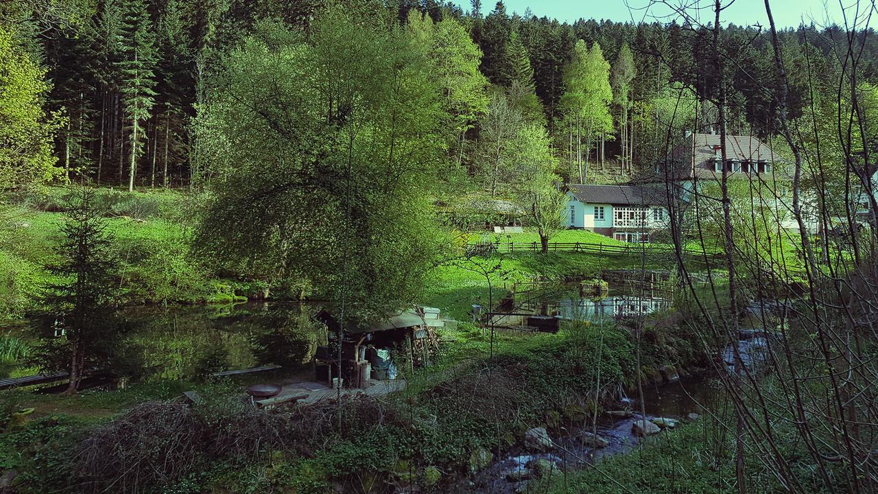 Gut Lauterbad Hotel ฟรอยเดนชตัดท์ ภายนอก รูปภาพ